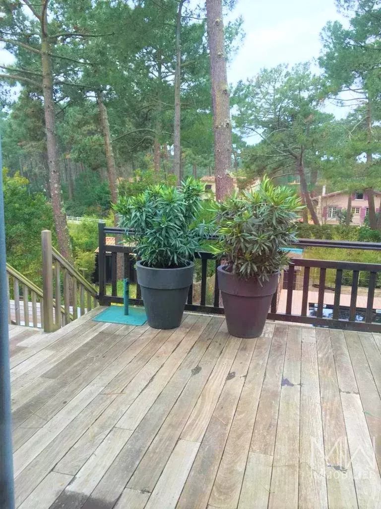 LOVELY HOUSE -CAP FERRET-