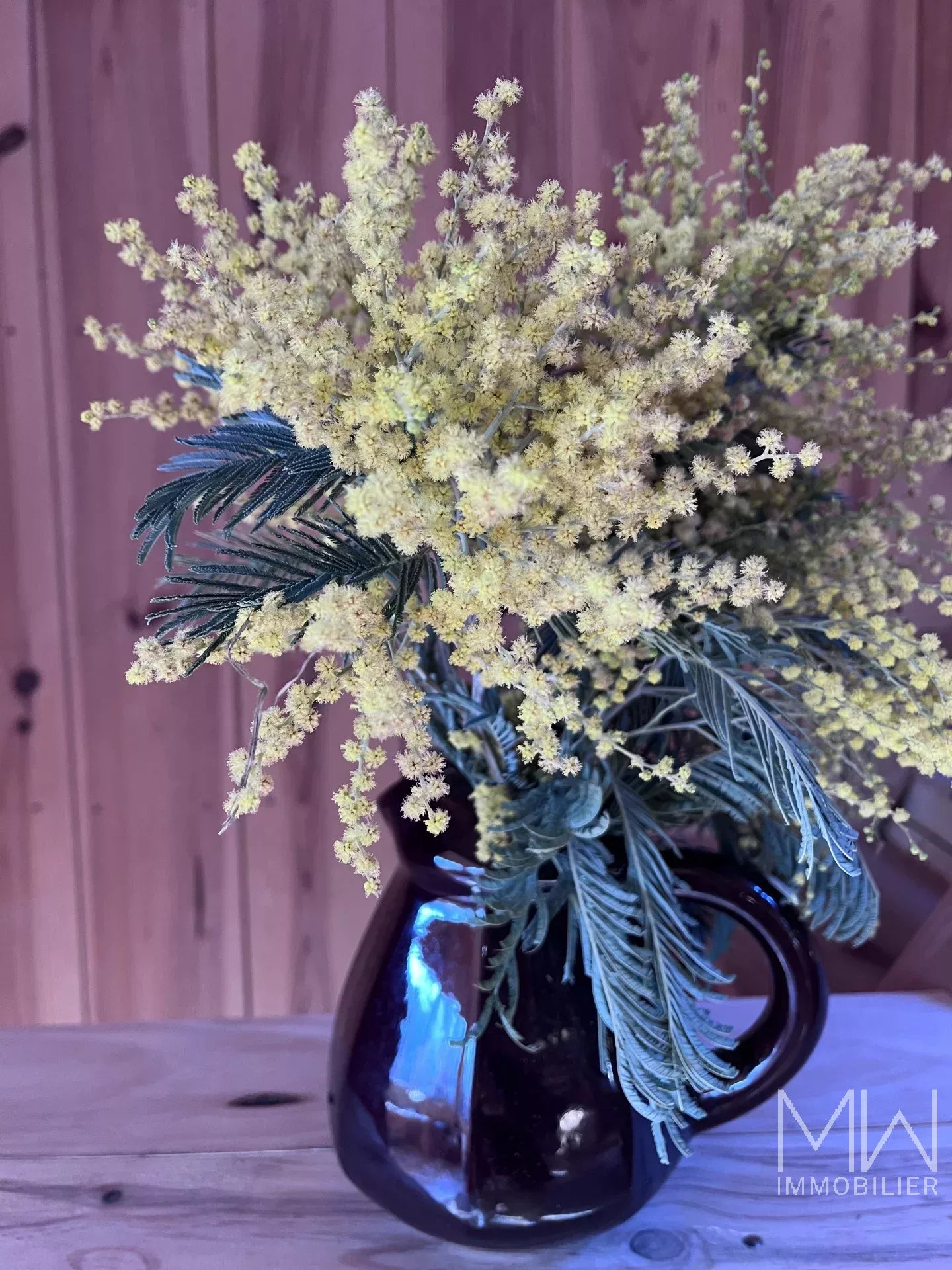 PRETTY WOODEN VILLA ON THE EDGE OF THE 44 HECTARES AREA – CAP FERRET – SLEEPS 10