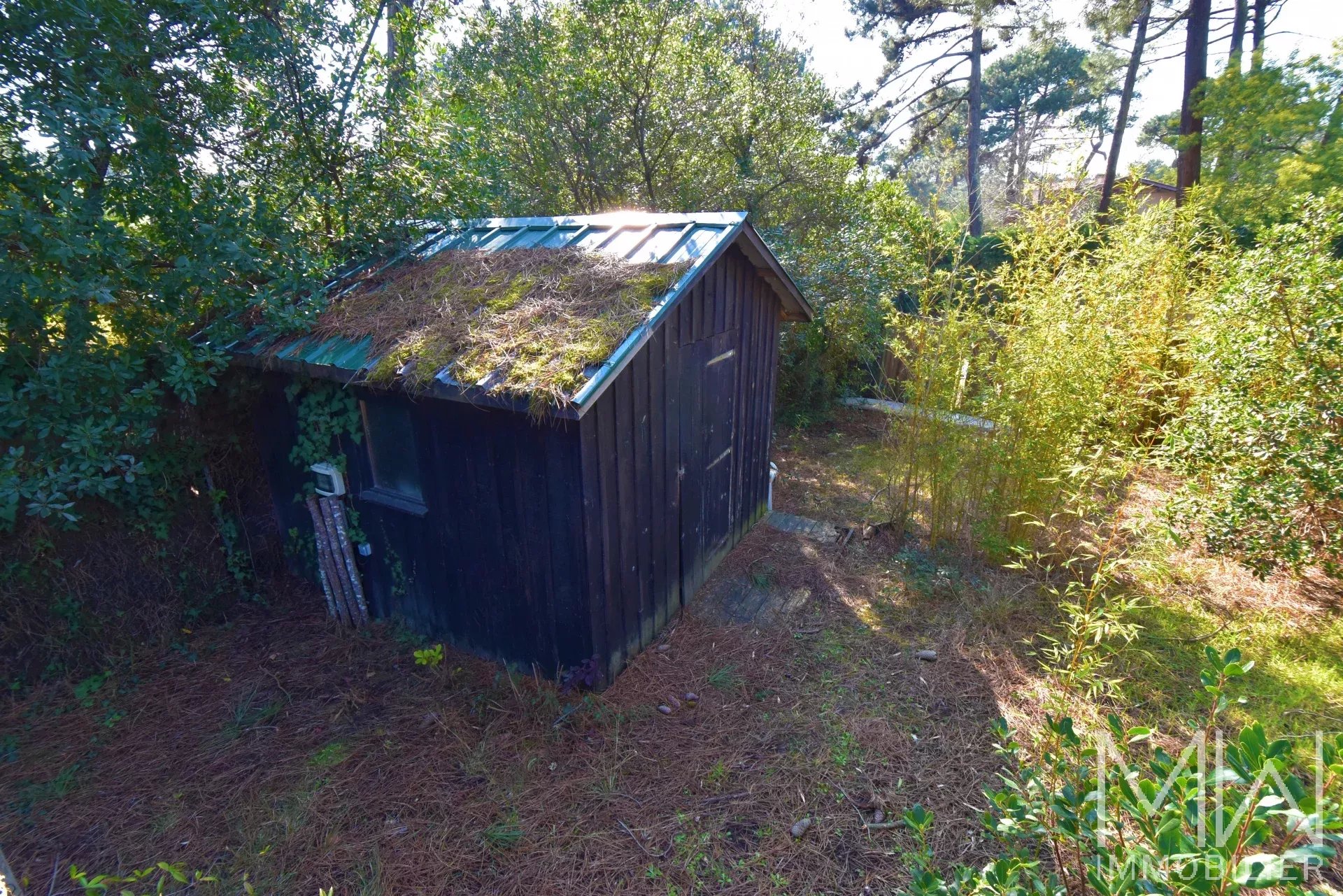 LOVELY HOUSE -CAP FERRET-