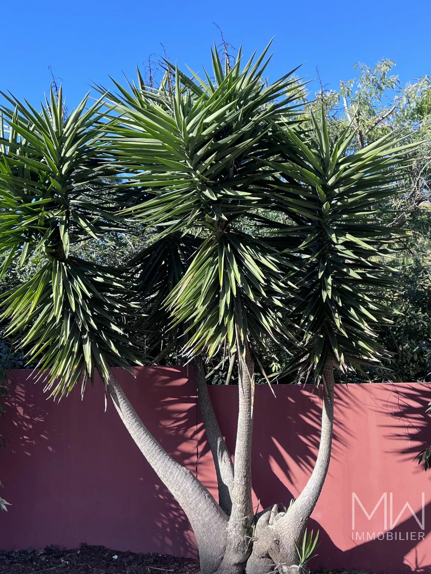 PRETTY WOODEN VILLA ON THE EDGE OF THE 44 HECTARES AREA – CAP FERRET – SLEEPS 10