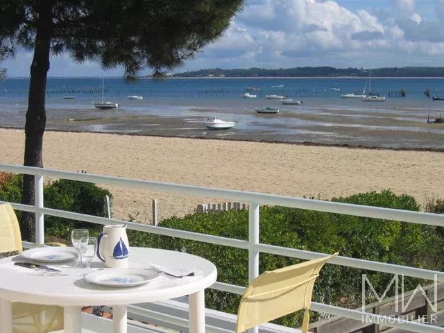 Apartment with panoramic view on the Bassin