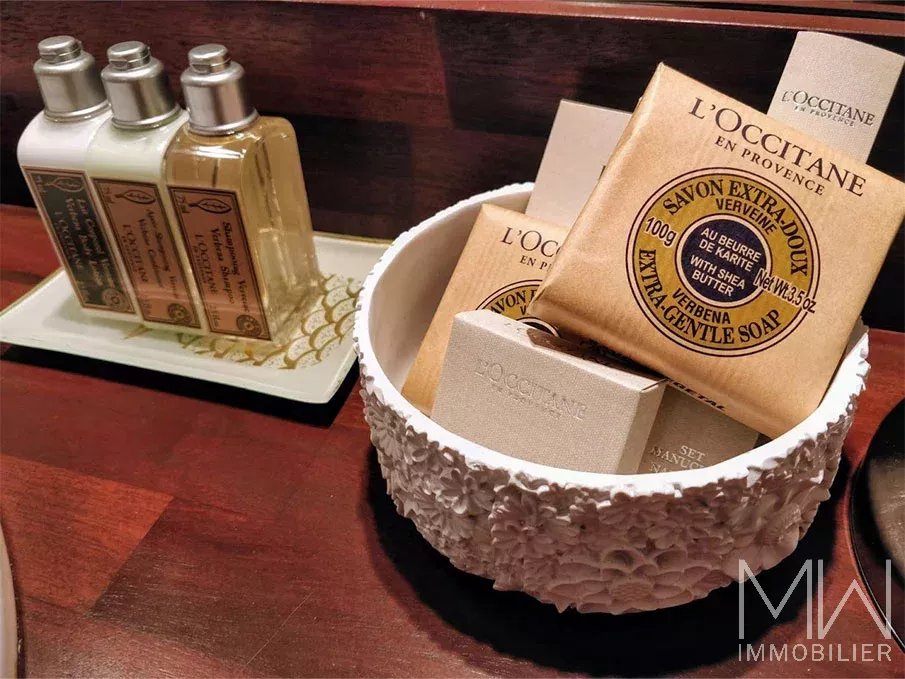 LUXURY VILLA AT MIMBEAU BEACH – CAP FERRET – SLEPPS 10