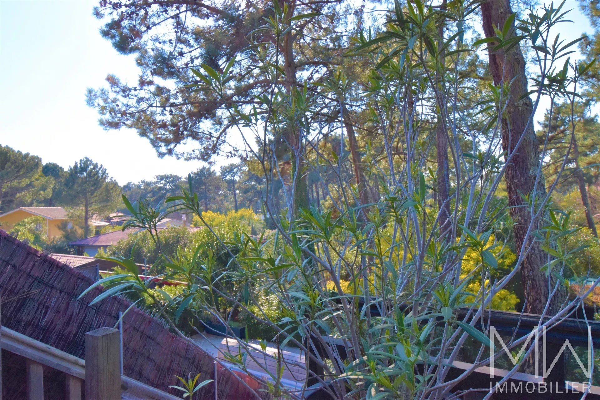 LOVELY HOUSE -CAP FERRET-
