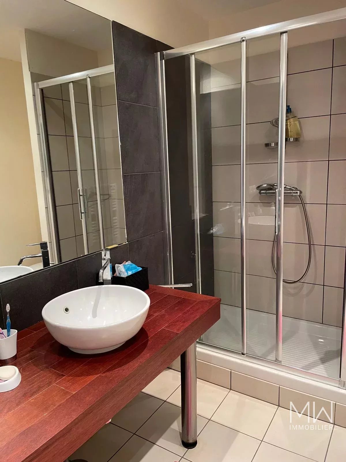 BEL APPARTEMENT – LA VIGNE – 7 COUCHAGES