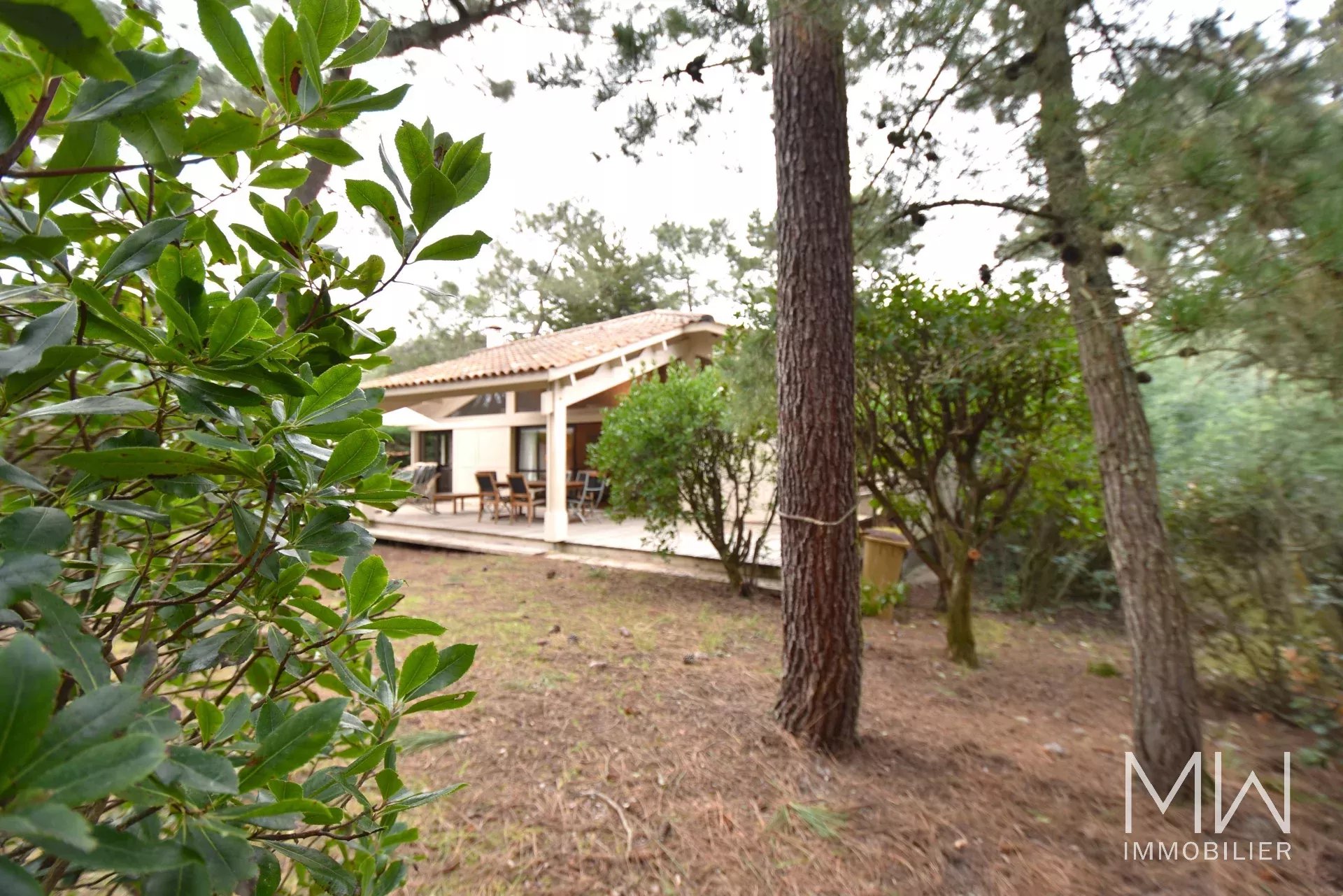 CAP FERRET BETWEEN THE BAY AND THE OCEAN